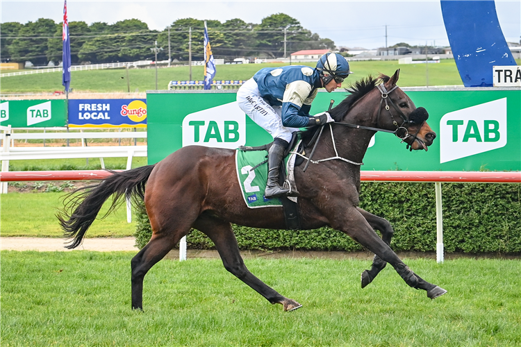 Rejuvenated Le Boal Back To Flemington | Racing and Sports
