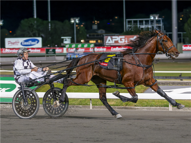 LEAP TO FAME winning The Rising Sun at Albion Park.