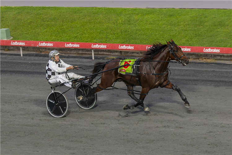 LEAP TO FAME striding away to win the 2023 Inter Dominion Pacers Championship Final at Albion Park