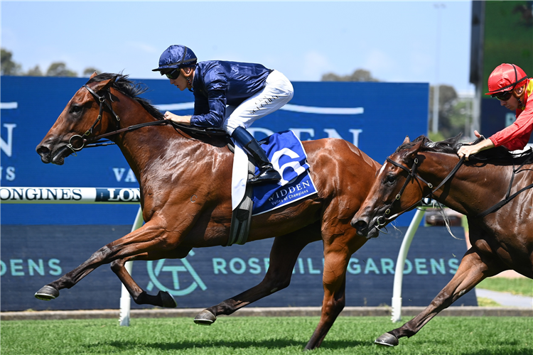 LEARNING TO FLY winning the Widden Stakes at Rosehill in Australia.