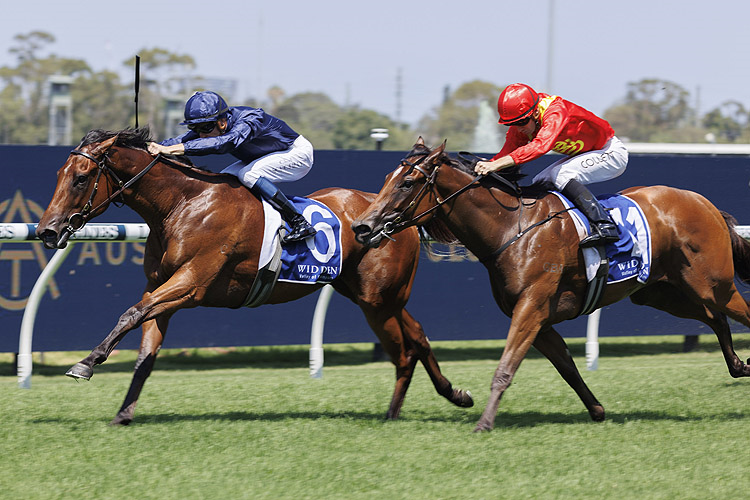 LEARNING TO FLY winning the WIDDEN STAKES