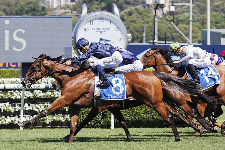 LEARNING TO FLY winning the Inglis Millennium.