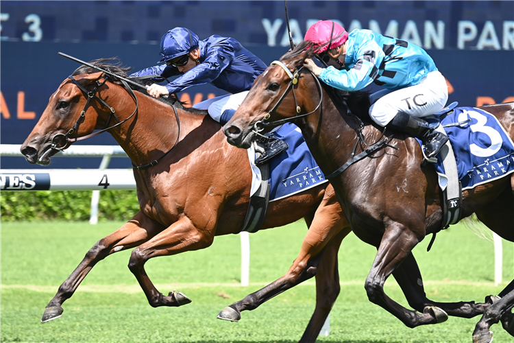 LEARNING TO FLY winning the Yarraman Park Reisling Stakes at Randwick in Australia.