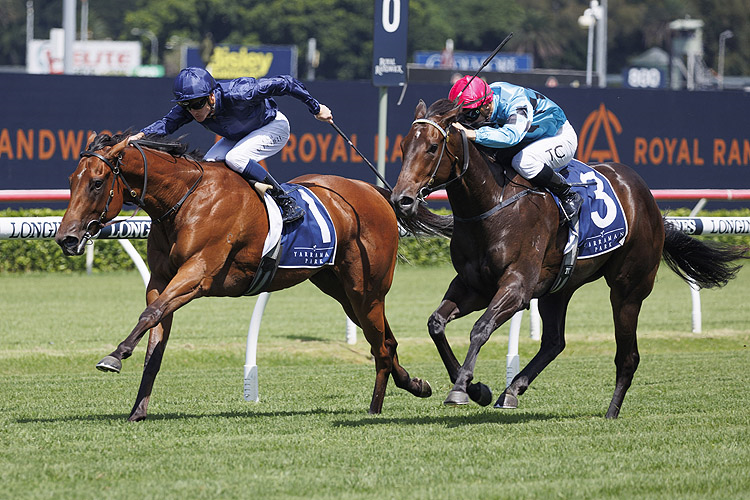LEARNING TO FLY winning the YARRAMAN PARK REISLING STAKES