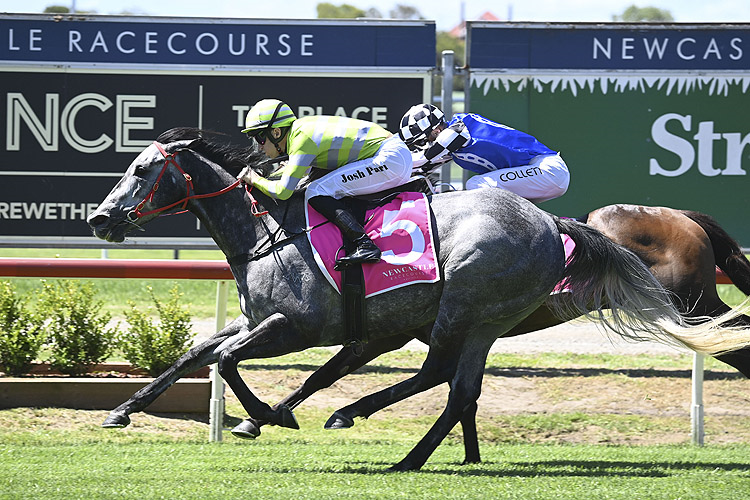 「莱克瓦尔特」