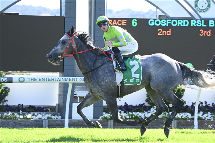 LEKVARTE winning the Gosford Rsl Belle Of The Turf Stakes at Gosford in Australia