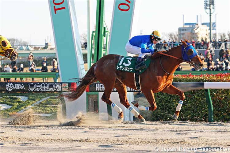 LEMON POP winning the Negishi Stakes at Tokyo in Japan.