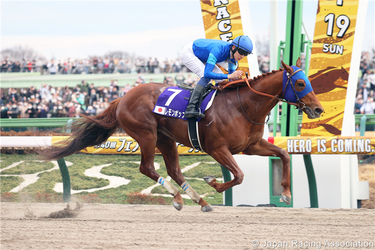 LEMON POP winning the February Stakes at Tokyo in Japan.