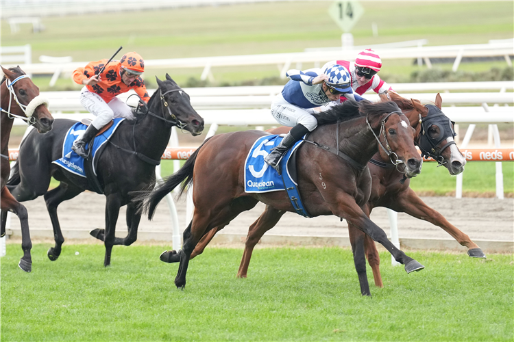 LETHAL THOUGHTS winning the Mornington Guineas at Mornington in Australia.