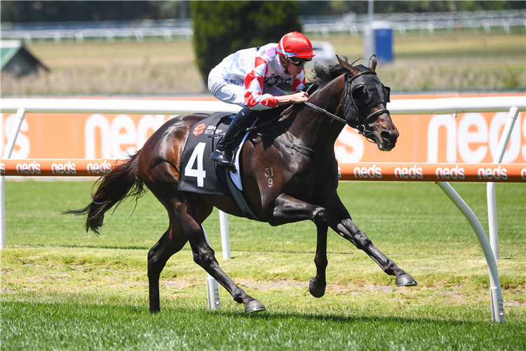 LET'SROLLTHEDICE winning the Sharp EIT Handicap at Caulfield in Australia.