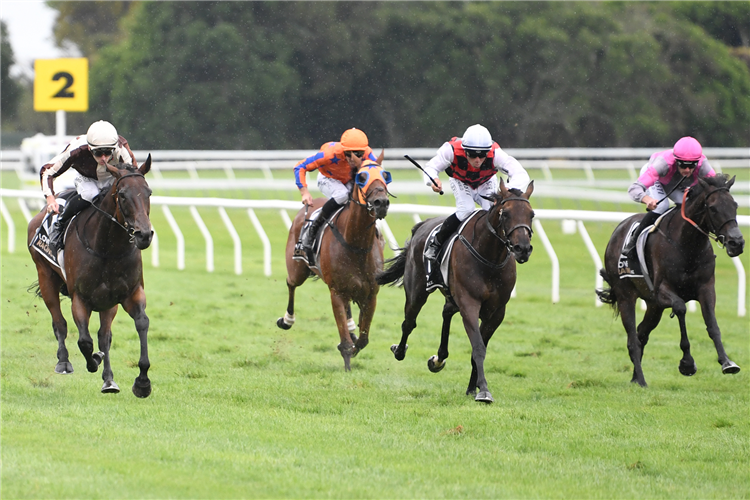 Levante (left, white cap) has the situation under control as she defeats La Crique (centre) and Chase (right) in the Gr.1 El Cheapo Cars WFA Classic (1600m)