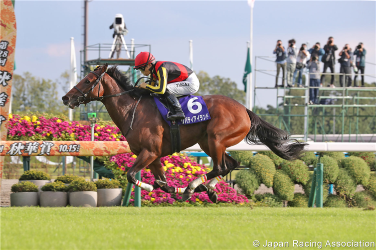 LIBERTY ISLAND winning the Shuka Sho at Kyoto in Japan.