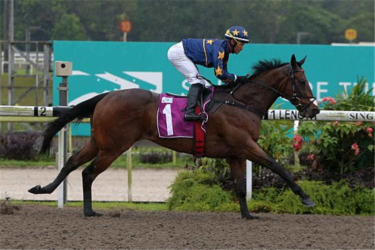 LIM'S KOSCIUSZKO winning the MERLION TROPHY GROUP 3