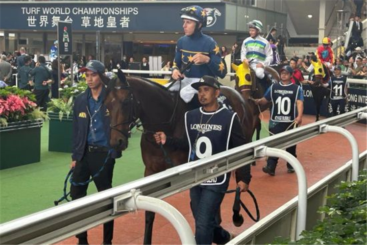 Lim's Kosciuszko (Damian Lane) parading with his two grooms, Mohd Masuary (far left) and Samsuri Saadon, at the Sha Tin parade ring before the running of the Group 1 Longines Hong Kong Mile (1,600m) on Dec 10. He ran ninth in the 14-horse affair.