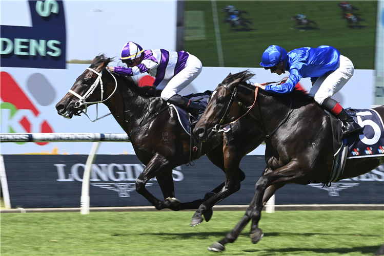 LINDERMANN winning the SKY RACING ROSEHILL GUINEAS at Rosehill in Australia.