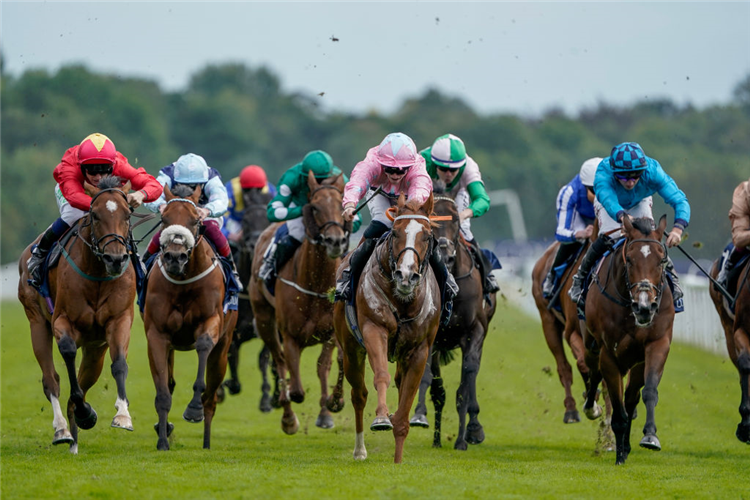 LIVE IN THE DREAM (pink silks) winning the Nunthorpe Stakes at York in England.