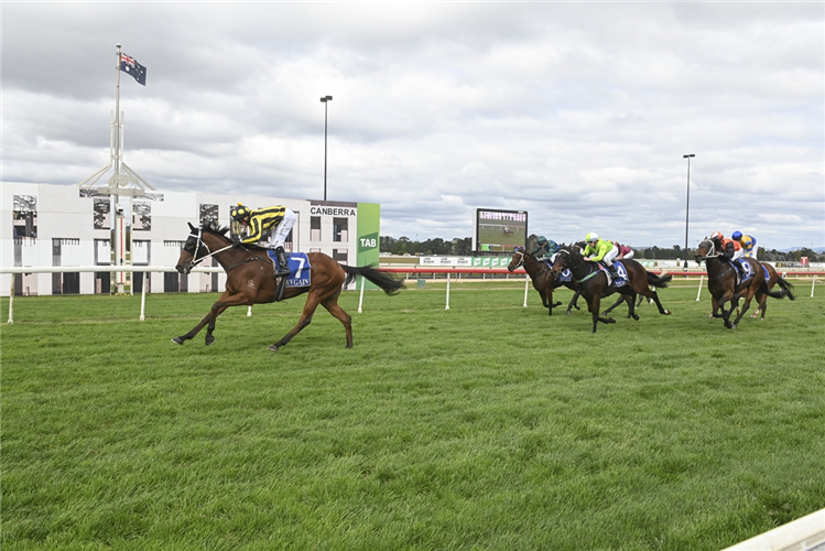 Loose Love wins at Thoroughbred Park on 22 April 2022.