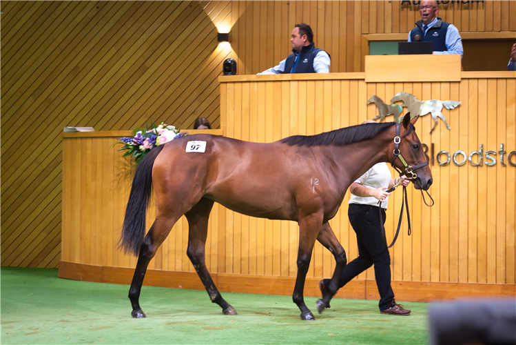 Lot 97 was purchased for $600,000 by Andrew Forsman, Andrew Williams and Bevan Smith.
