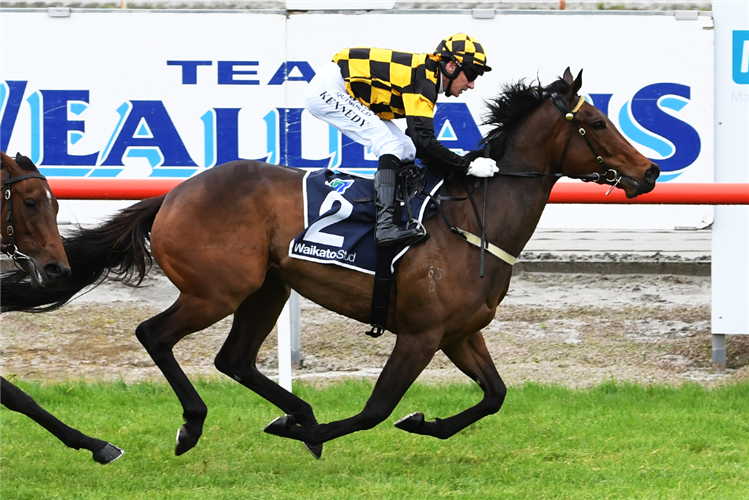 Luberon primed for Riccarton mission