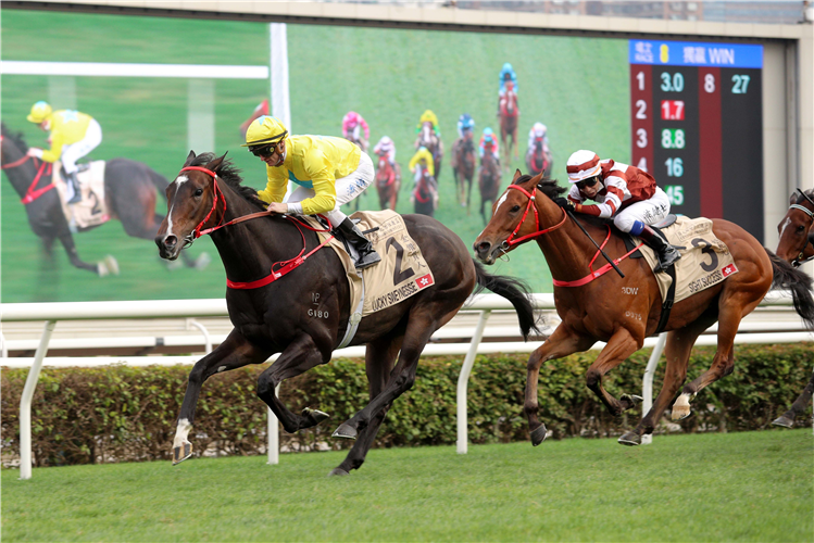 LUCKY SWEYNESSE winning the THE CENTENARY SPRINT CUP