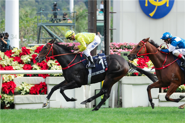 LUCKY SWEYNESSE winning the THE LONGINES HONG KONG SPRINT at Sha Tin Racecourse.