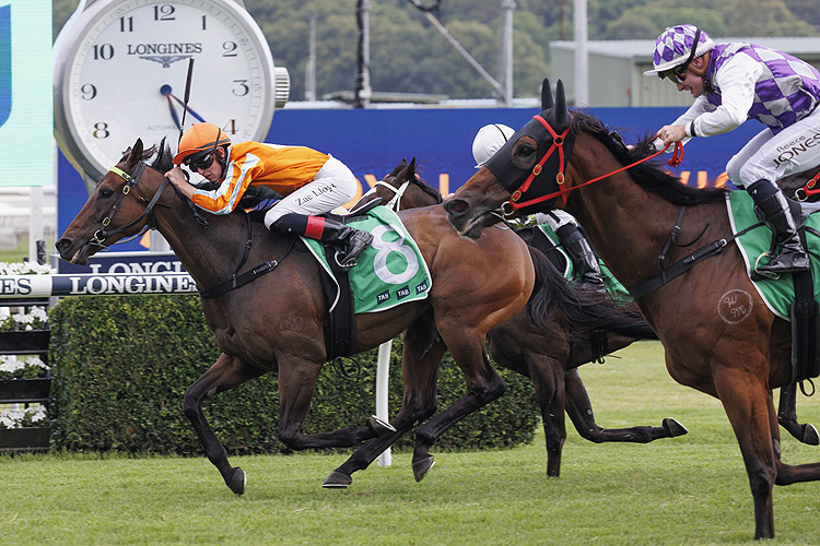 LUVOIR winning the TAB HANDICAP