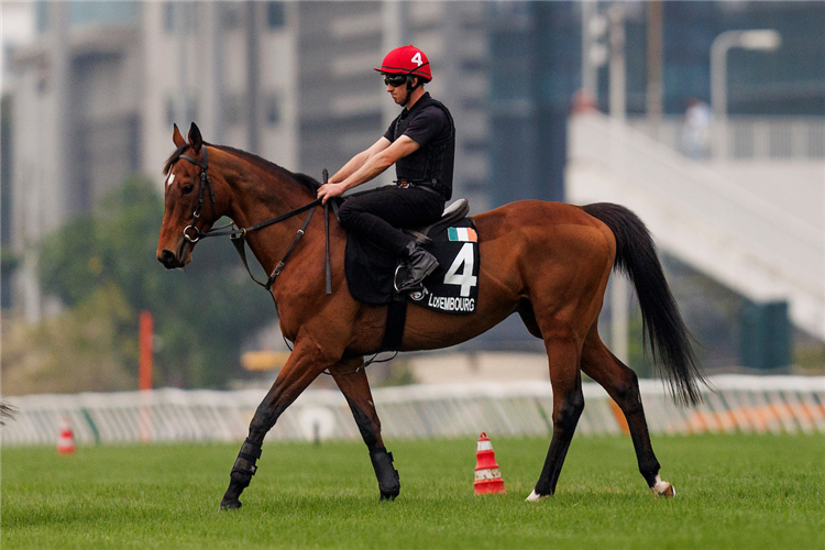 Luxembourg works at Sha Tin.