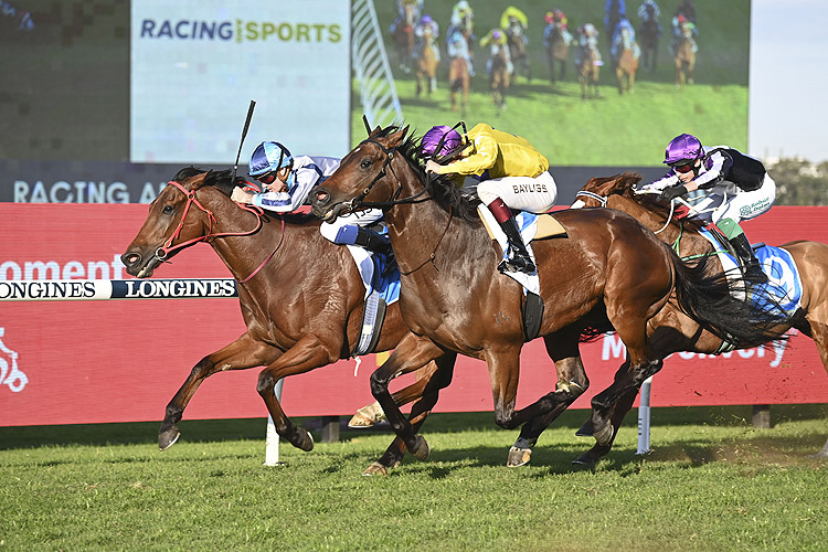 Racing to benefit rec reserve - Ballarat Times