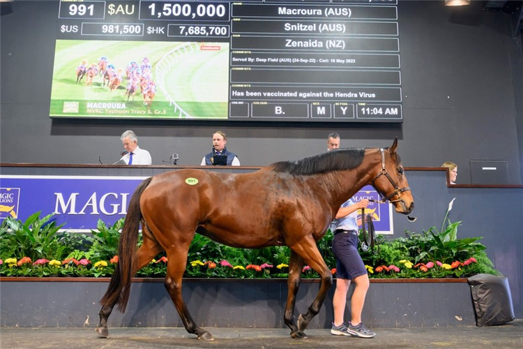 Macroura sold for $1.5m on the Gold Coast.