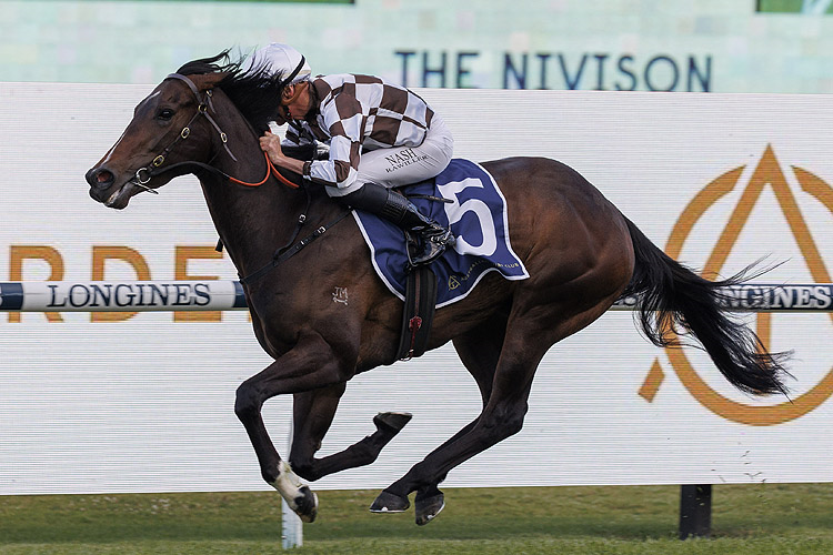 MAGIC TIME winning the The Nivison at Rosehill in Australia.