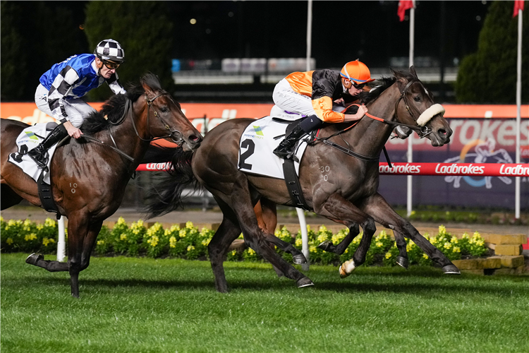 MAHARBA winning the Xtreme Freight Plate at Moonee Valley in Australia.