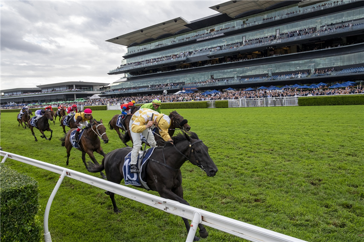 Horse Racing Today | Racing News | Previews | Racing And Sports