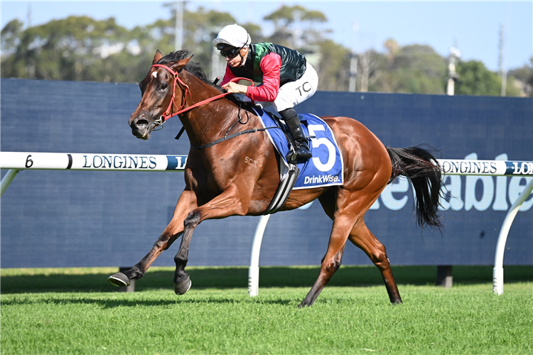 MARIAMIA winning the FURPHY EXPRESSWAY STAKES at Rosehill in Auatralia.