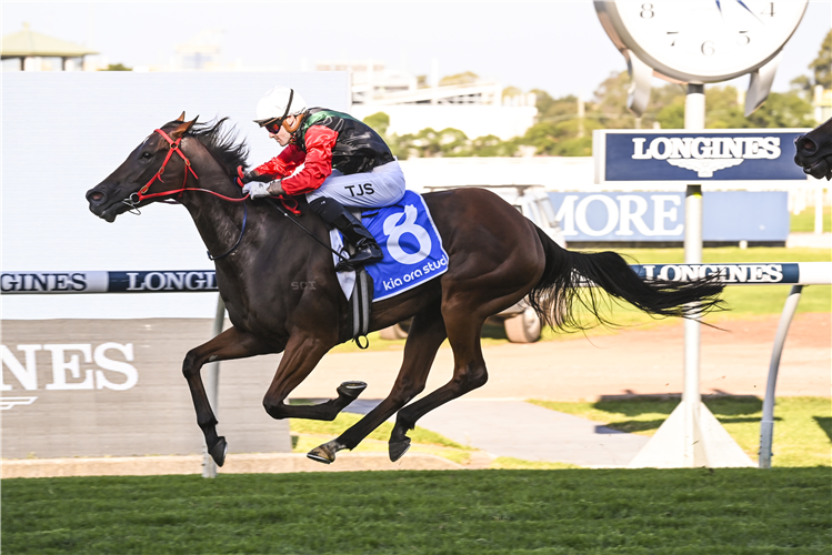 MARIAMIA winning the KIA ORA GALAXY at Rosehill in Australia.