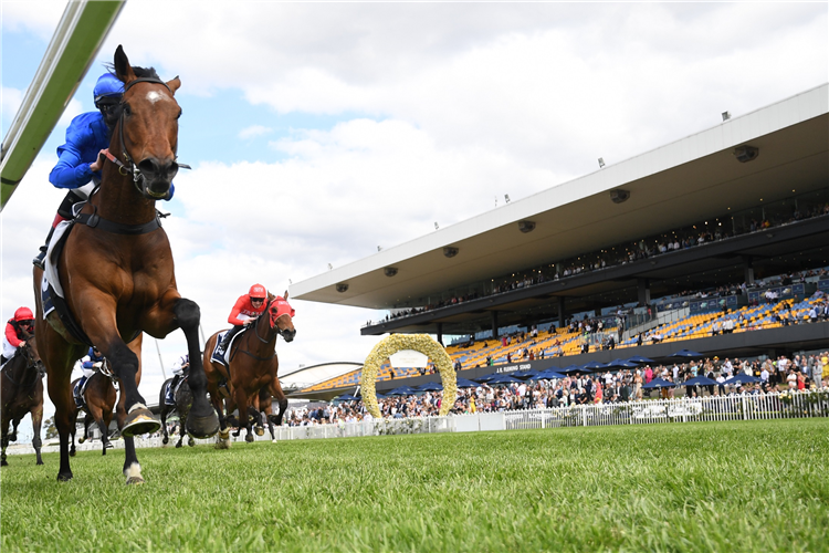 MARQUESS winning the IRRESISTIBLE POOLS & SPAS HANDICAP at Rosehill in Australia.