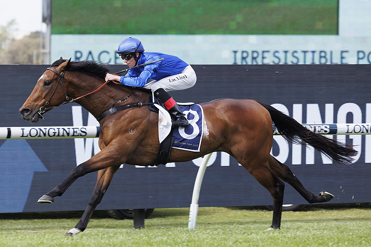 Marquess dominates at Rosehill