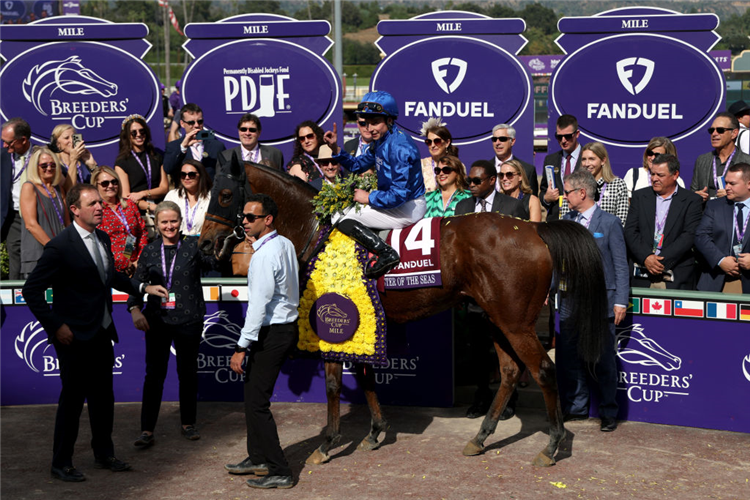 MASTER OF THE SEAS after winning the Breeders' Cup Mile at Santa Anita Park in Arcadia, California.