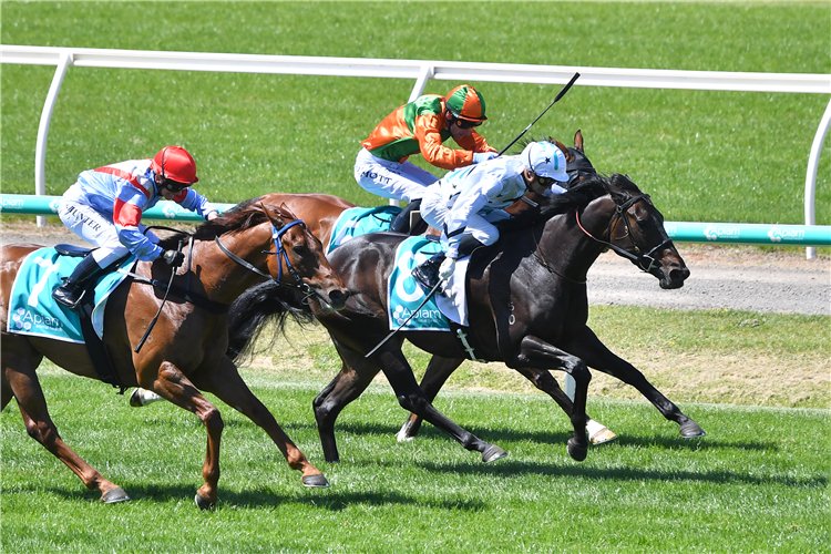 MATERIAL DREAMS winning the Big Al's Water BM64 Handicap in Bendigo, Australia.