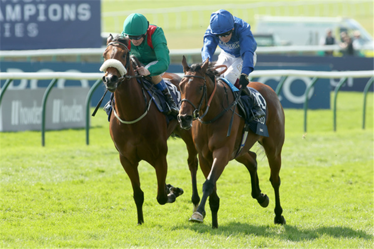 MAWJ (blue) winning the Stakes (Group 1).