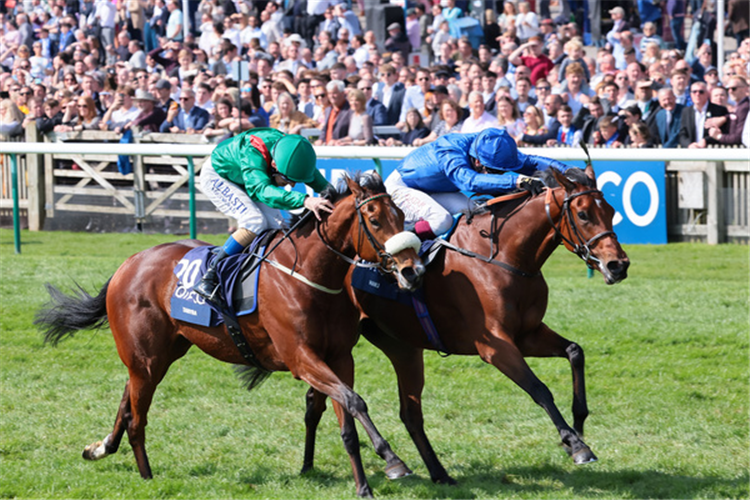 MAWJ winning the Qipco 1000 Guineas Stakes (Fillies' Group 1) (British Champions Series)