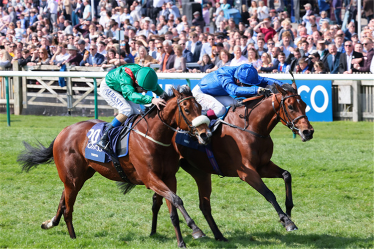 MAWJ winning the 1000 Guineas (Group 1)