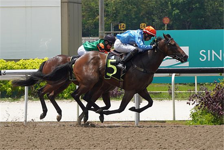MAY winning the RESTRICTED MAIDEN