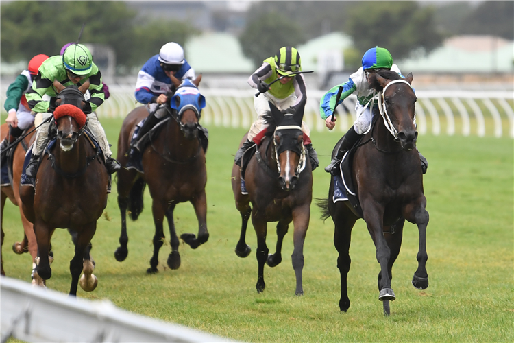 MAZZOLINO(right) winning the NZ BLOODSTOCK DESERT GOLD STAKES