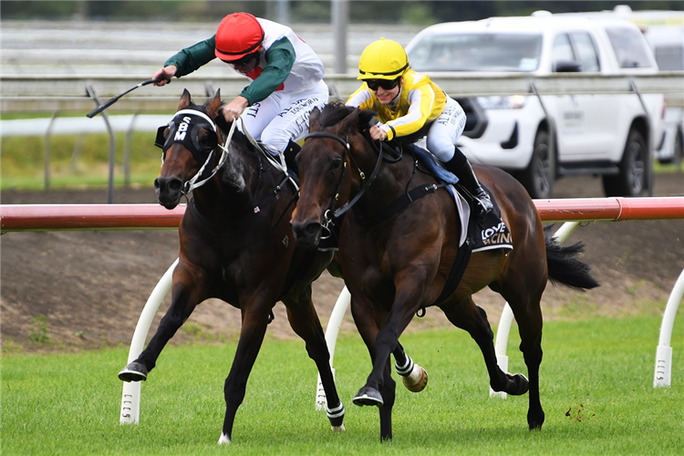 Group One-bound sprinter Mercurial toughens out Bonny Lass in a tight tussle at Pukekohe Park on Saturday.