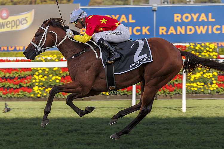 Champagne Stakes Past Winners Results Australia Racing and Sports