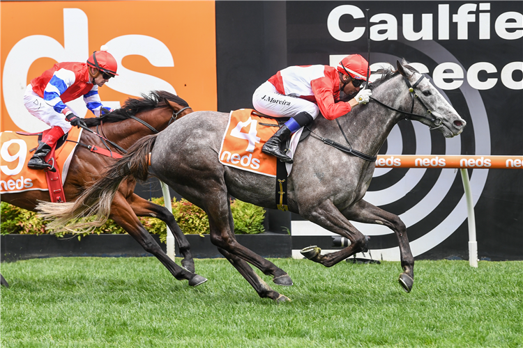 MILITARY MISSION winning the Neds Herbert Power Stakes at Caulfield in Australia.