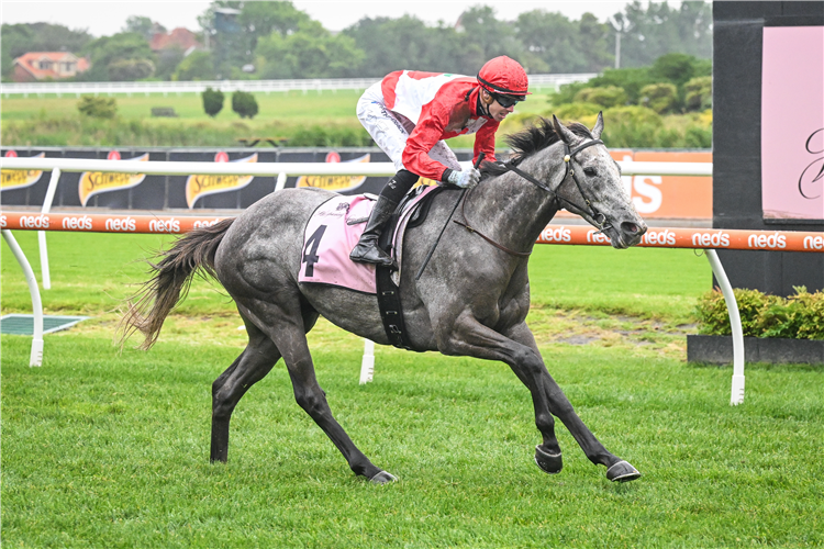 MILITARY MISSION winning the Zipping Classic at Caulfield in Australia.