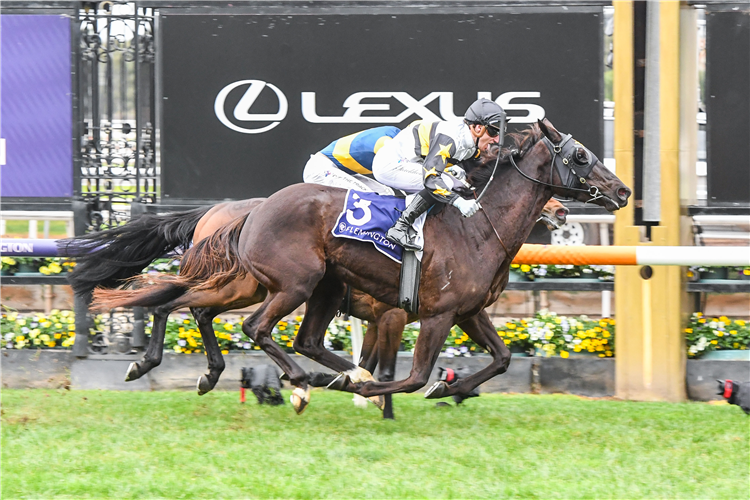 MIMI'S AWARD winning the Deane Lester Flemington Cup at Flemington in Australia.