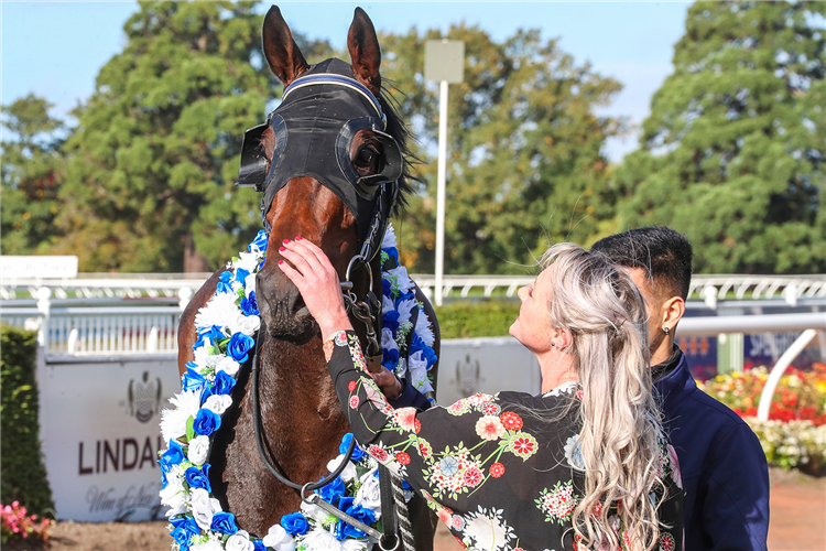 Co-trainer Anna Furlong makes a fuss of Miss Layla after her Riccarton victory