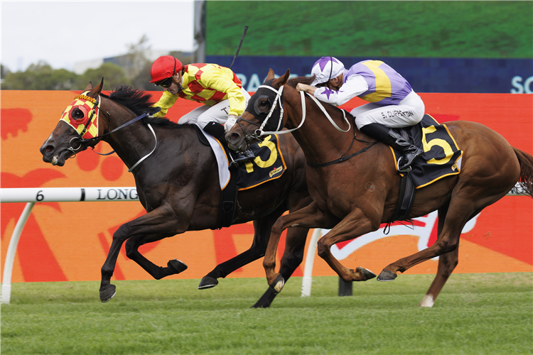 MISSION PHOENIX winning the SCHWEPPES JANUARY CUP at Randwick in Australia.